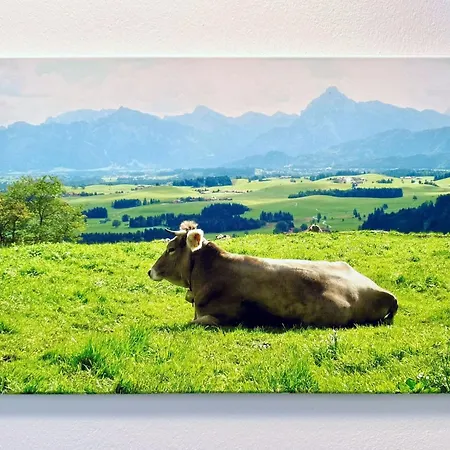 Koeniglicher Schloss- Und Alpenblick *